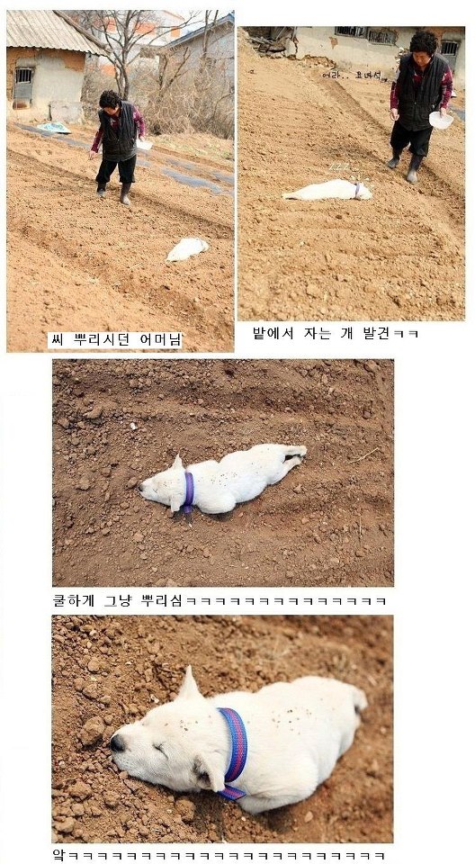 포스트의 이미지