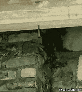 이분 적어도 만렙