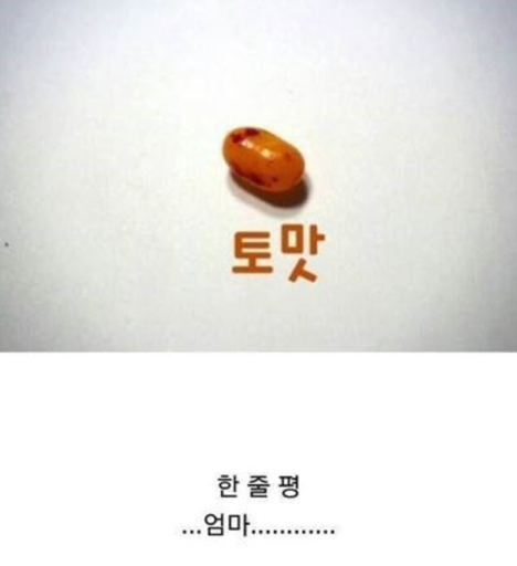 포스트의 이미지