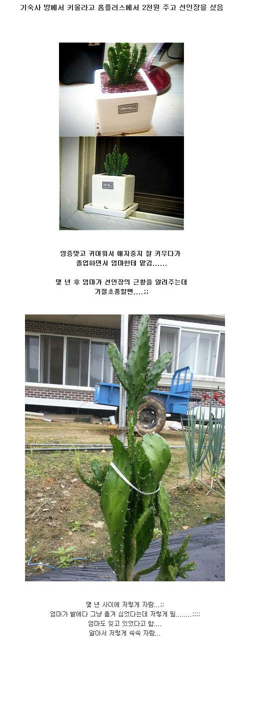 포스트의 이미지