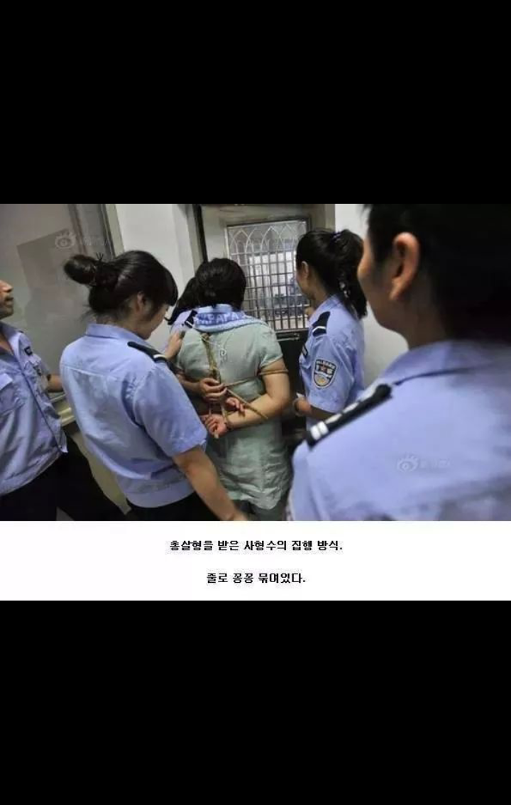 포스트의 이미지