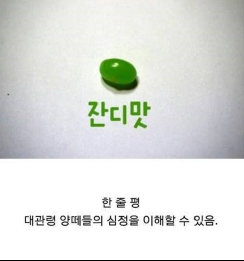 포스트의 이미지