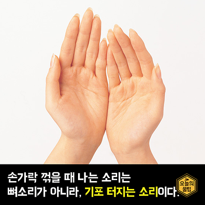 포스트의 이미지