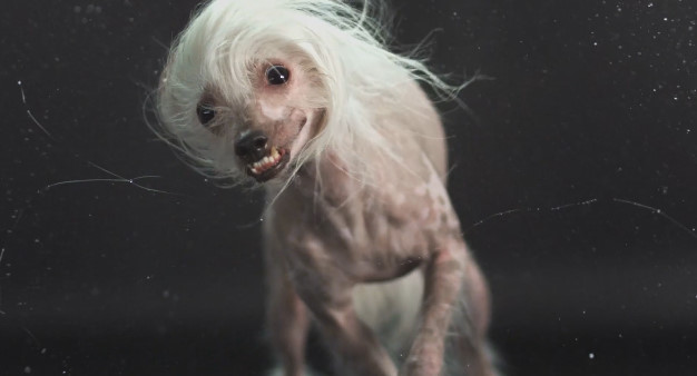 포스트의 이미지