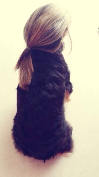 포스트의 이미지