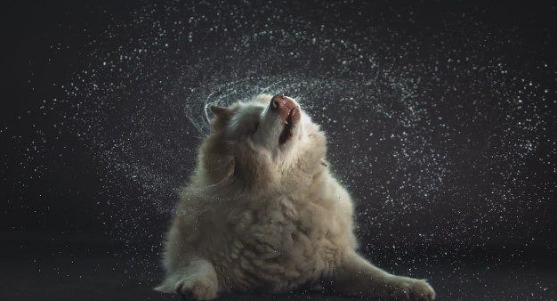 포스트의 이미지