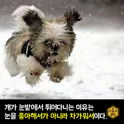 포스트의 이미지