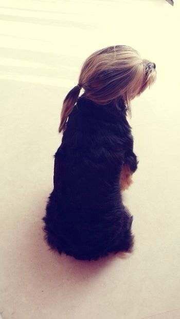 포스트의 이미지