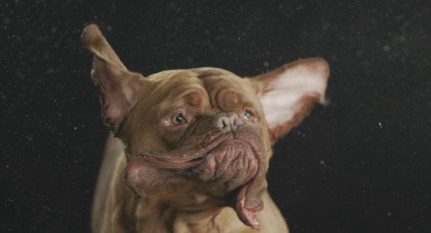 포스트의 이미지