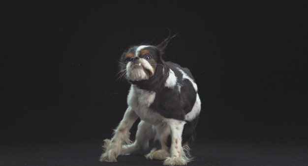 포스트의 이미지