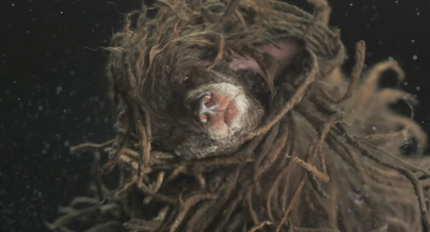 포스트의 이미지