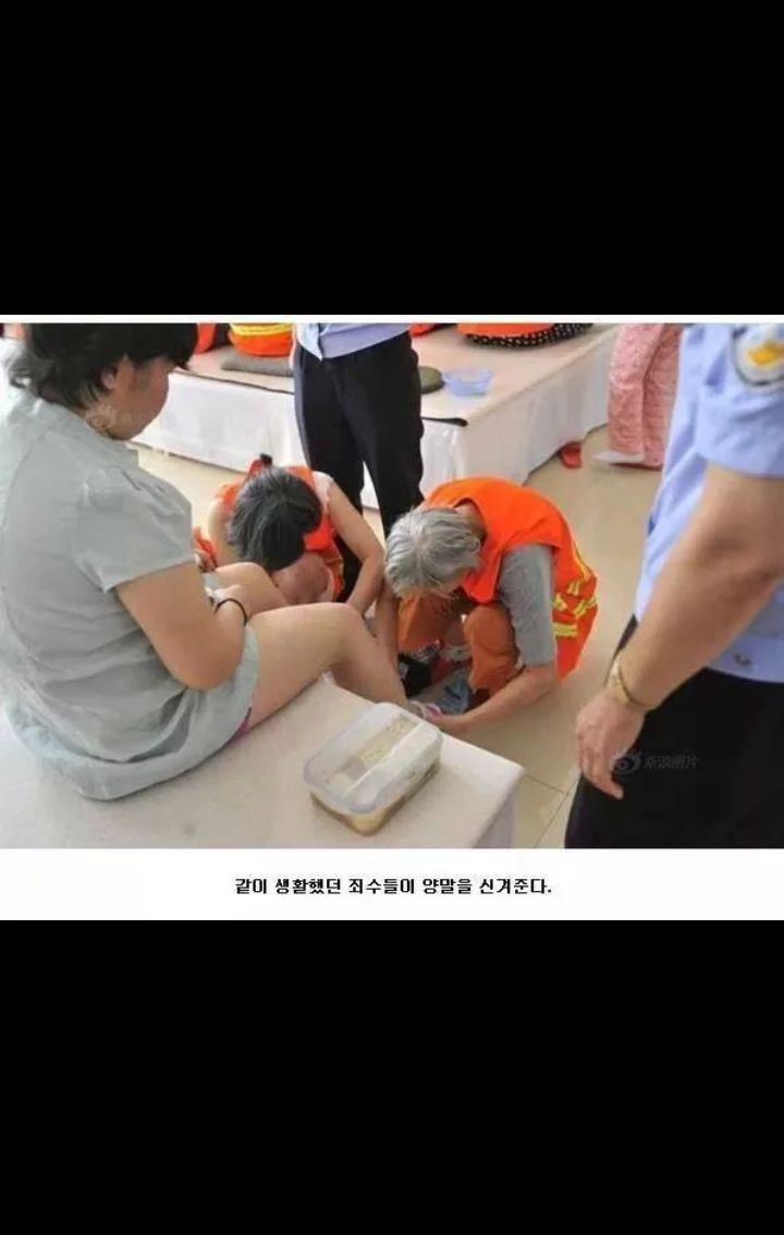 포스트의 이미지