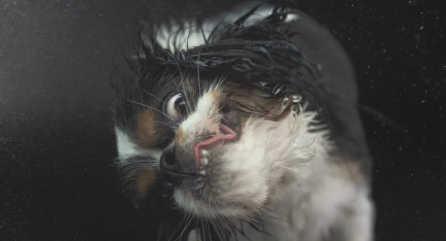 포스트의 이미지