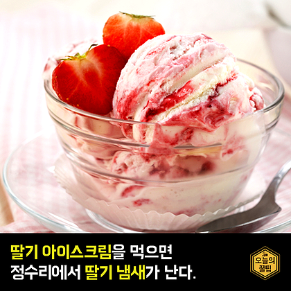 포스트의 이미지