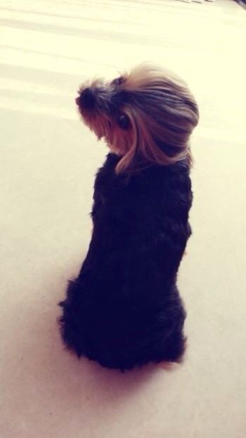 포스트의 이미지