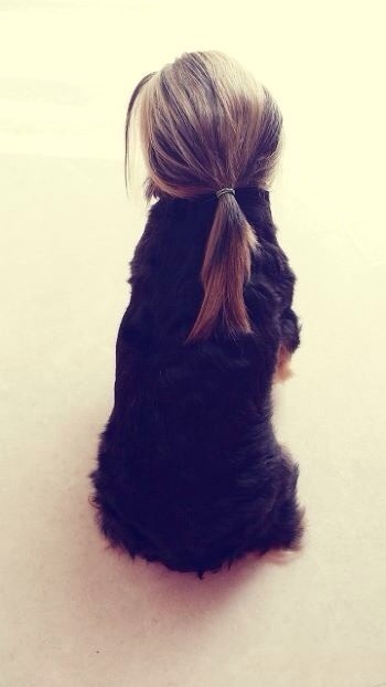 포스트의 이미지