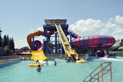 포스트의 이미지