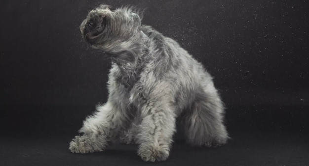 포스트의 이미지