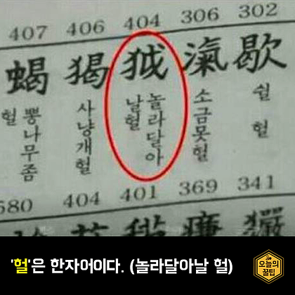 포스트의 이미지