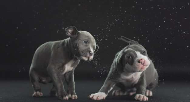 포스트의 이미지