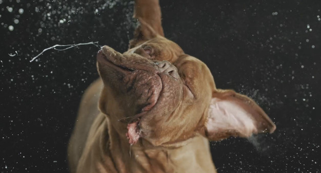 포스트의 이미지