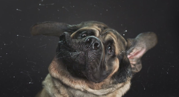 포스트의 이미지