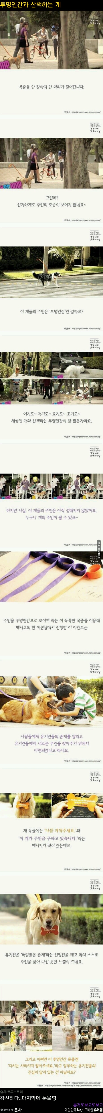 투명인간과 산책하는 개
