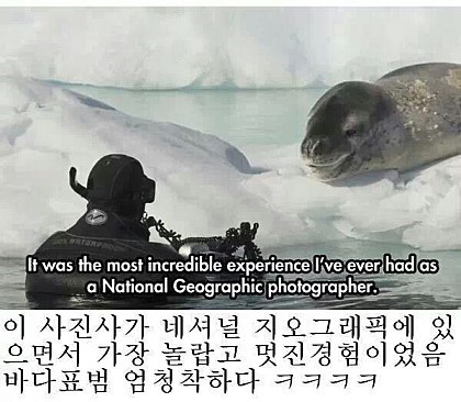 포스트의 이미지