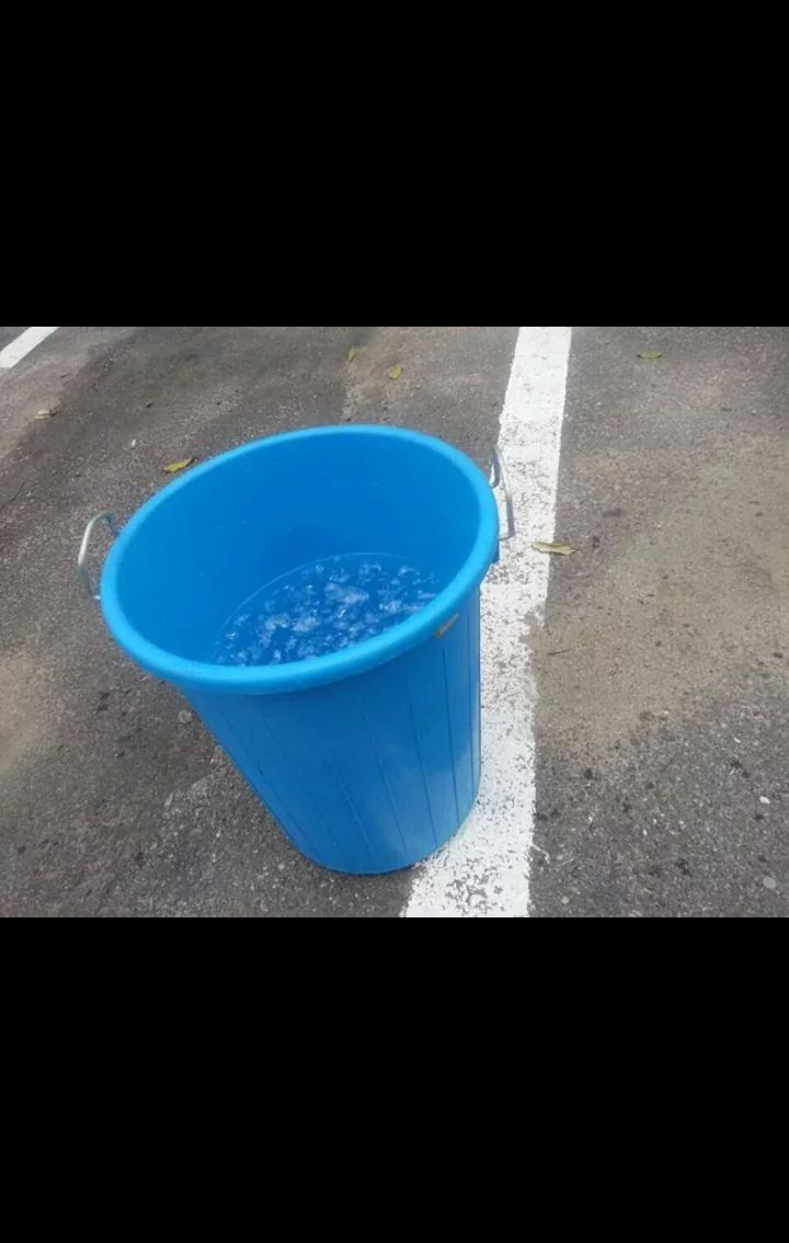 포스트의 이미지