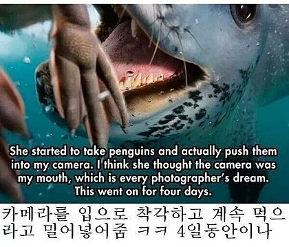 포스트의 이미지