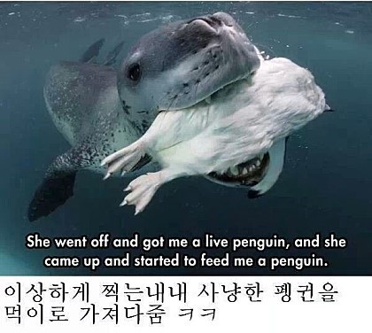 포스트의 이미지