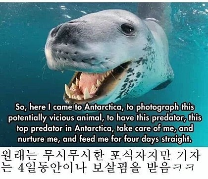 포스트의 이미지