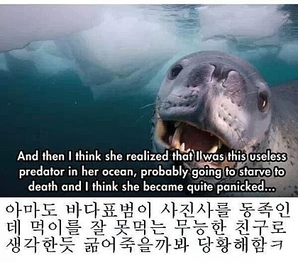 포스트의 이미지
