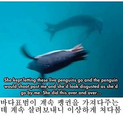 포스트의 이미지