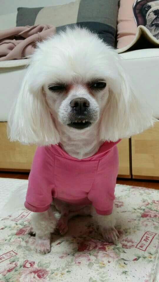 포스트의 이미지