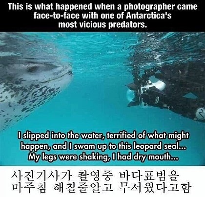 포스트의 이미지