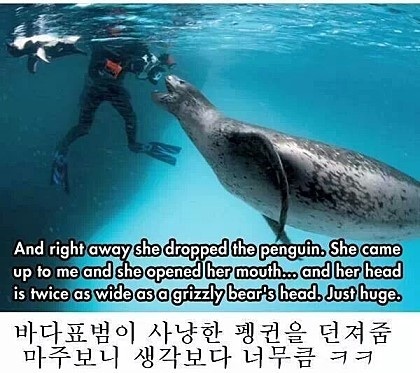 포스트의 이미지