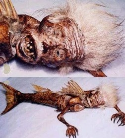 포스트의 이미지