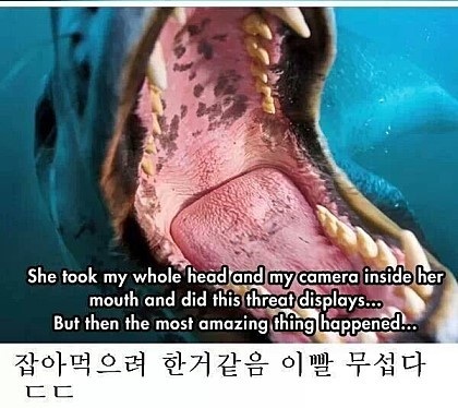 포스트의 이미지