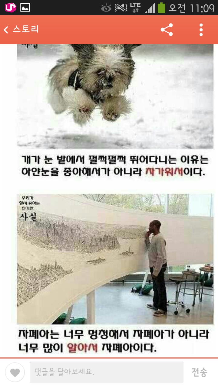 포스트의 이미지