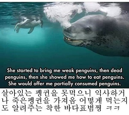 포스트의 이미지