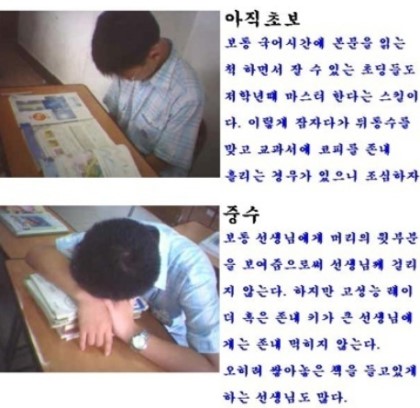 포스트의 이미지