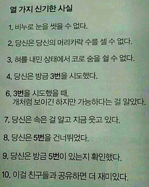 신기한사실들