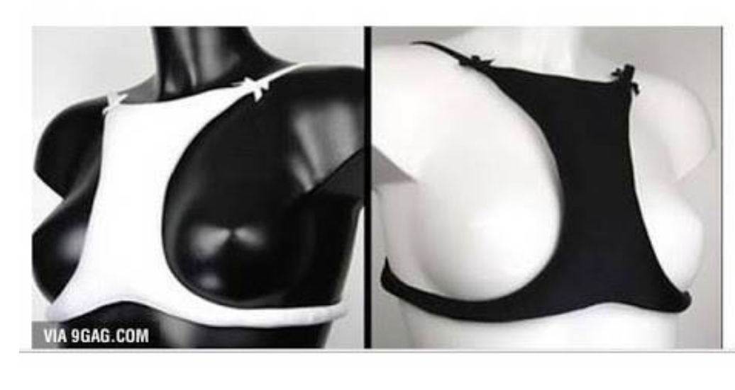 포스트의 이미지