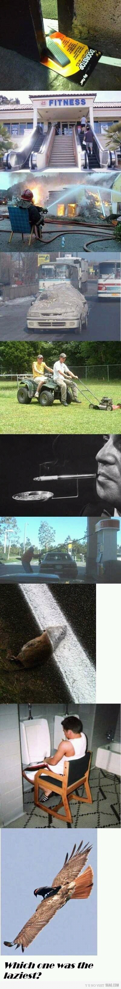 포스트의 이미지