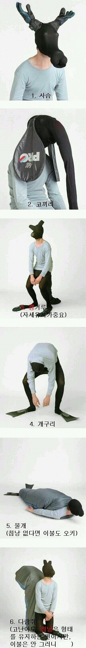 포스트의 이미지