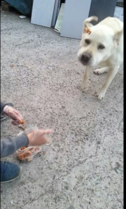 포스트의 이미지