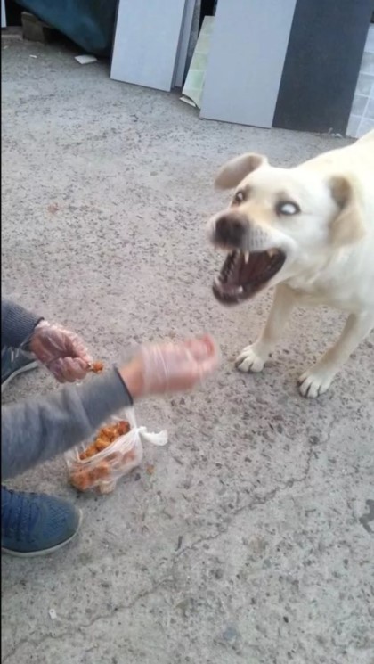 포스트의 이미지