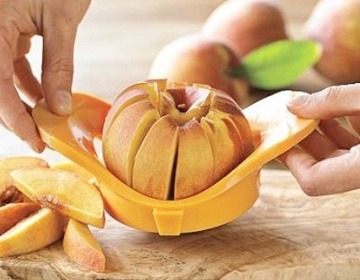 포스트의 이미지