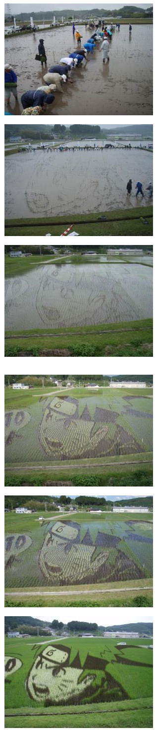 어느 일본 농부의...선물